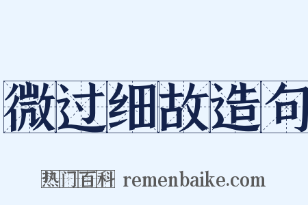 微过细故造句是什么意思的图片